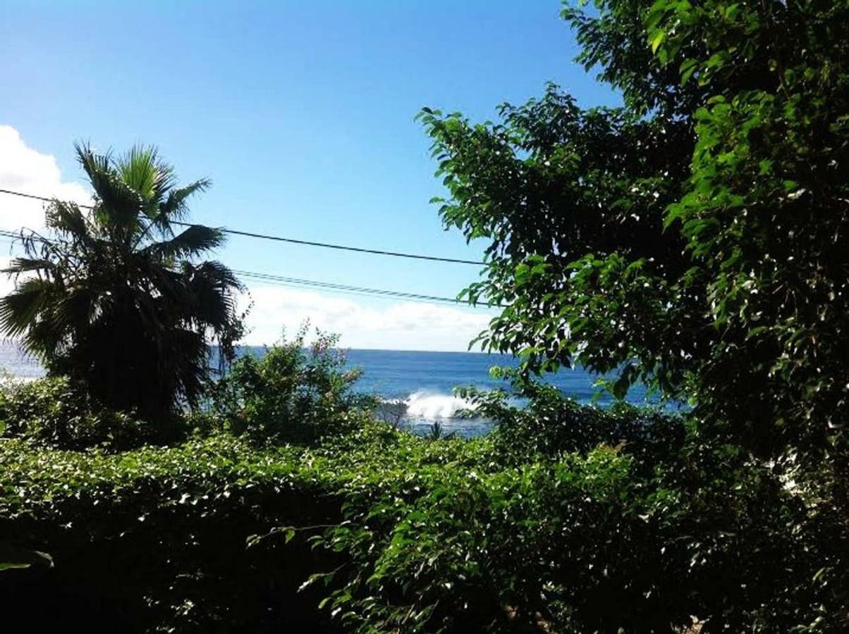 Charming 2Br Guest Suite With Ocean View Praia Extérieur photo